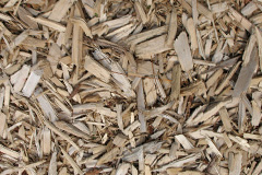 biomass boilers Wig